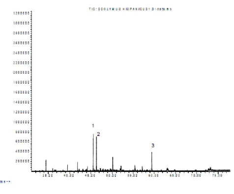 Figure 1. GC-MS Chromatogram of Scolymus hispanicus essential oil.