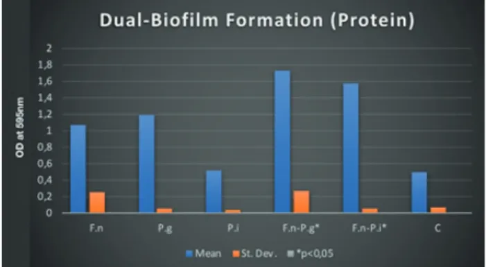 Figure 2. Dual-Biofilm Formation (Protein)