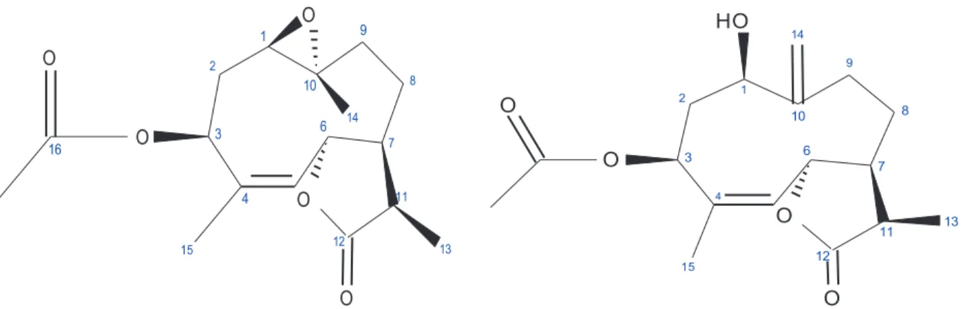 Figure 1. Molecular structure of compound 2. Figure 2. Molecular structure of compound 10.