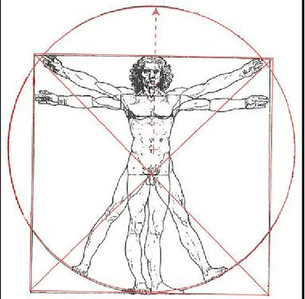 Şekil 1.19: Leonardo Da Vinci Oran Sistemi 