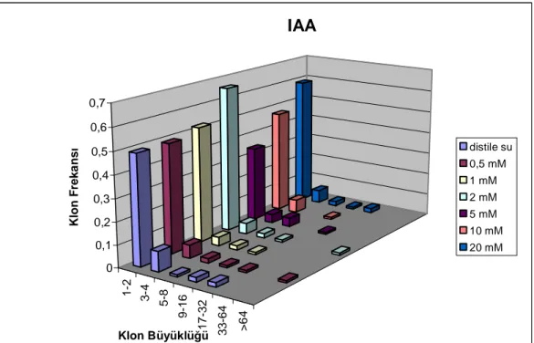 Şekil 3.3. IAA’nın  yüksek  metabolik  etkinliğe sahip normal  kanatlı (mwh/flr 3 )  hatlarda  klon  frekans dağılımına etkisi 