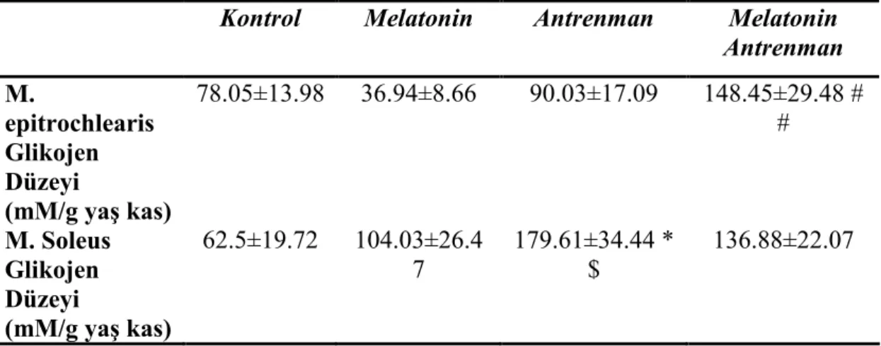 Çizelge 4.2. Dört gruba ait M. epitrochlearis ve M. soleus glikojen düzeyleri  Kontrol  Melatonin  Antrenman  Melatonin 