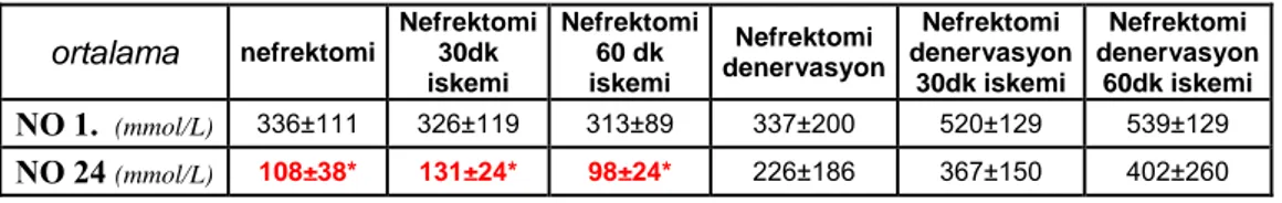 Tablo 13:   NO 1., NO 24 gruplarının karşılaştırılması. 