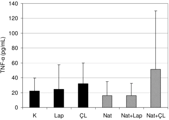 Şekil  4.2.  Düşük  dozda  (0.6  mg/gün)  nattokinaz  uygulanarak  yapılan  deneyde        plazma  TNF-α  düzeyleri ortalamaları ve standart hataları gösterilmiştir (n=9)