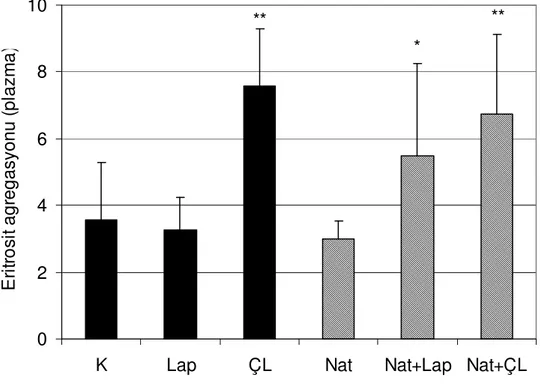 Şekil 4.4. Düşük dozda (0.6 mg/gün) nattokinaz uygulanarak yapılan deneyde grupların otolog plazma  içerisinde ölçülen eritrosit agregasyon indeksi (M) indeksi ortalamaları ve standart hataları  gösterilmiştir