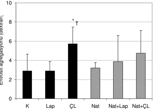 Şekil 4.5. Düşük dozda (0.6 mg/gün) nattokinaz uygulanarak yapılan deneyde %1 Dekstran 500'ün  PBS  içerisindeki  çözeltisinde  ölçülen  eritrosit  agregasyon  (M)  indeksleri  ortalamaları  ve  standart  hataları gösterilmiştir