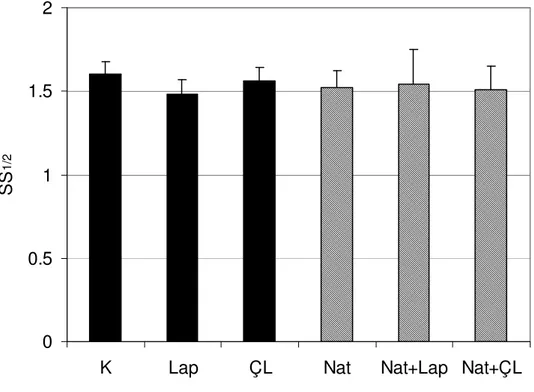 Şekil  4.6.  Düşük  dozda  (0.6  mg/gün)  nattokinaz  uygulanan  deneyde  gruplara  ait  maksimum  elongasyon  indeksinin  yarısı  kadar  şekil  değiştirmeye  neden  olan  kayma  kuvveti  (SS 1/2 )  değerleri  ortalaması  ve  standart  hataları  gösterilmi