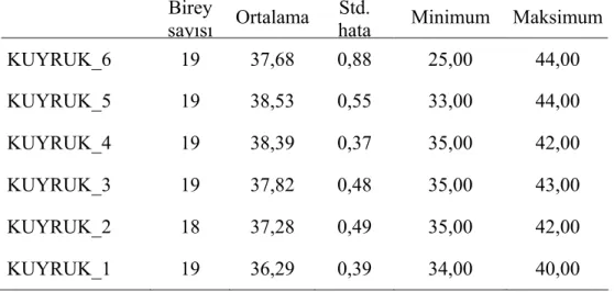 Şekil 4.3 Anadolu sıvacısına ait kuyruk telek boylarının ortalama – standart hata  grafiği 