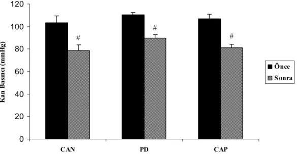 Şekil 4. Candesartan, PD123319 ve Captopril’in kan basıncı değerlerine etkisi. Kan basıncı  ölçümleri reseptör blokerleri ve ACE inhibitörü verilmeden önce ve verildikten sonra  yapılmıştır
