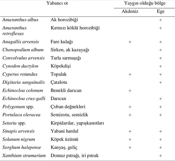 Çizelge 2.6. Soya fasulyesinde sorun olan yabancı otlar 