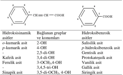 Şekil 2.4. Flavonoidlerin genel yapısı 