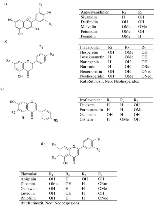Şekil 2.5. a) Antosiyanidinler, b) Flavanonlar, c) İzoflavonlar, d) Flavonların kimyasal  yapıları 