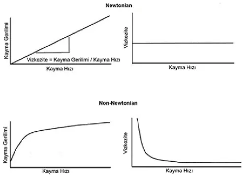 Şekil 2.1.: Newtonian ve non-Newtonian sıvılar için kayma gerilimi-kayma hızı ve viskozite-  kayma hızı arasındaki ilişkiler (kaynak 44’den alınmıştır)
