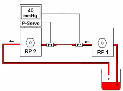 Şekil 3.2: Servo kontrollü perfüzyon sistemi. RP1: Kanın rezervuardan kapiller tüp içine  infüzyonunu sağlayan sabit akım pompası