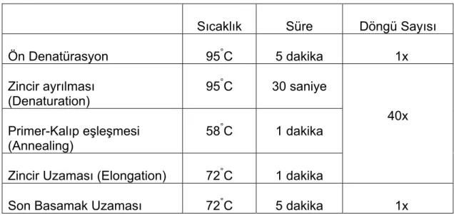 Tablo 1: PCR Koşulları 