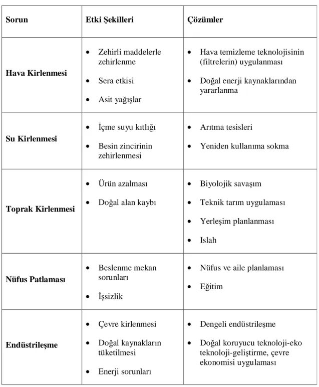 Tablo 2.1: Çevre Sorunları ve Çözüm Yolları (Cepel, 1992, s.248) 