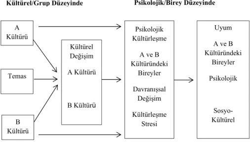 Şekil 1.2. Kültürel ve Bireysel Düzeyde Kültürleşme Taslağı 