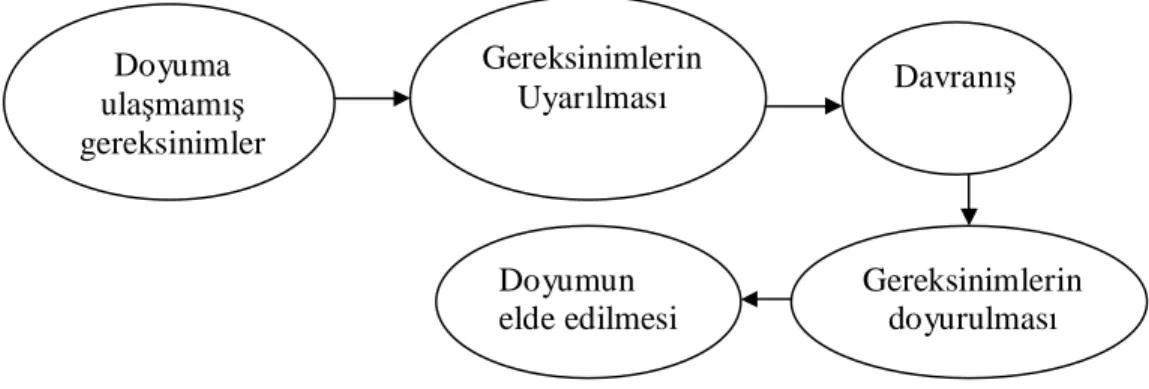 Şekil 1.1. Bireylerde Güdüleme Süreci  