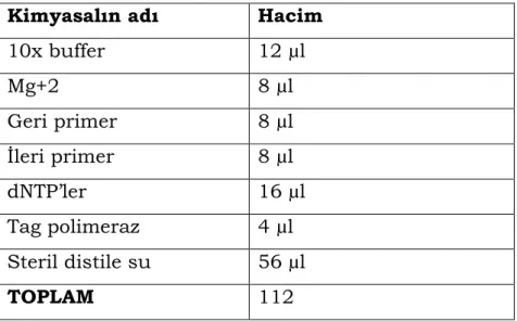 Çizelge 3.12. Aero (Aerosin) geni için PCR optimizasyonu  Kimyasalın adı   Hacim 