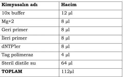 Çizelge 3.14. F3-B3 geni için PCR optimizasyonu  Kimyasalın adı   Hacim 