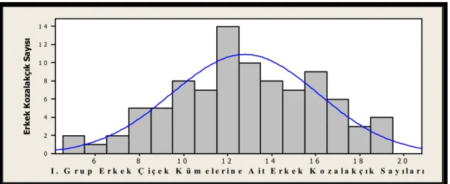 Şekil 2.14. I. Grup  erkek çiçek kümesine ait erkek kozalakçık sayılarının dağılım grafiği 