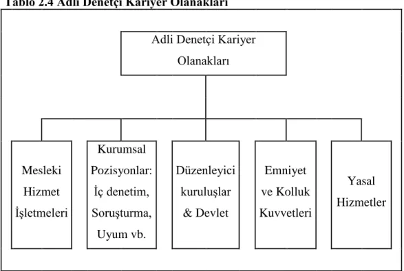 Tablo 2.4 Adli Denetçi Kariyer Olanakları 