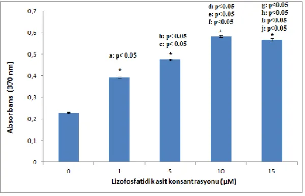 Şekil  4.1.  PC3  hücrelerinde  farklı  dozlardaki  lizofosfatidik  asidin  (LPA)  hücre  proliferasyonuna  etkisi