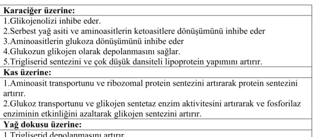 Tablo 2.2. İnsülinin endokrin etkileri 