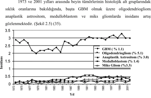 Şekil 2.5. Beyin tümörü histolojik alt gruplarının 1973-2001 yılları arasındaki insidanslarının            değerlendirmesi