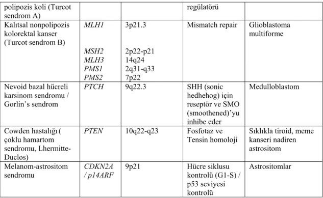 Tablo 2.4. Epidemiyolojik çalışmalar sonrasında beyin tümörü gelişiminde rol oynadığı düşünülen                      olası faktörler