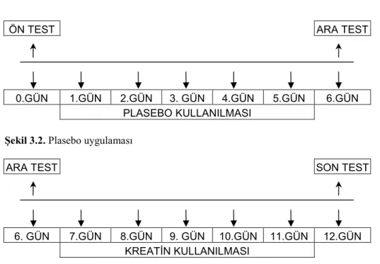 Şekil 3.2. Plasebo uygulaması 