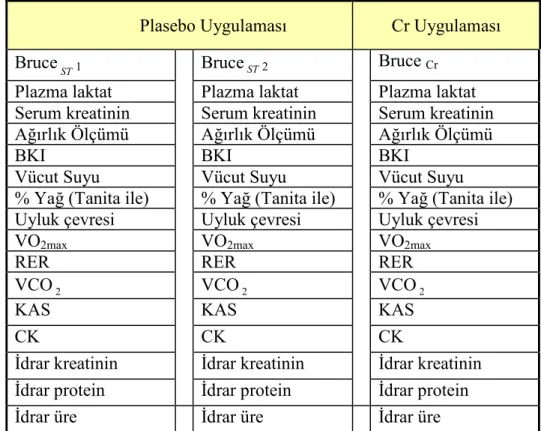 Çizelge 2.4. Ölçülecek parametreler 