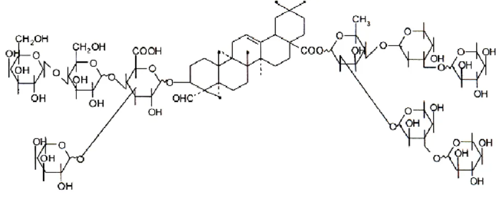 ġekil 2. 3. Saponinin kimyasal yapısı (Çağlayanlar 2006) 