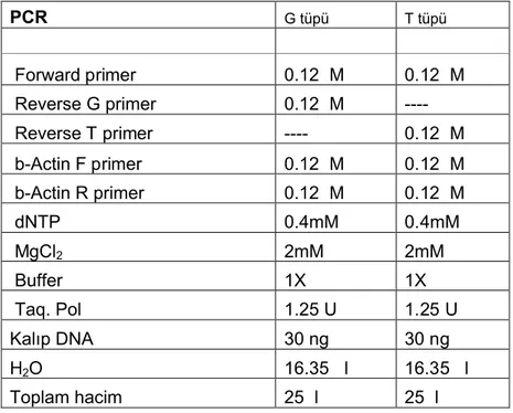 Tablo 2.2. +4259 G&gt;T TIM-3 ARMS-PCR için kullanılan malzemeler