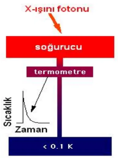 Şekil 2.6. Mikrokalorimetrenin ana bileşenleri X-ışını soğurucusu (kırmızı olan), bir  termometre (vişne çürüğü) ve sıcaklık çukurundan (mavi)  oluşur 