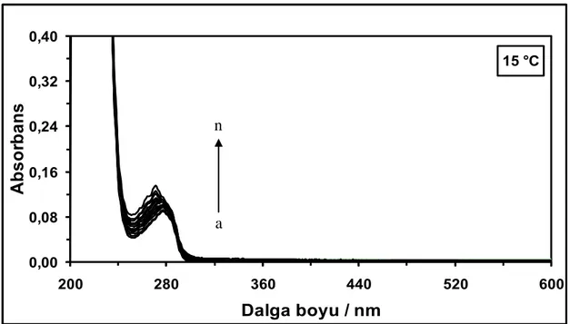 Şekil  4.13.  15  °C’de  farklı  konsantrasyonlarda  MHC  varlığında  3,0x10 -6   M  HSA                                                           çözeltisinin  absorpsiyon  spektrumları