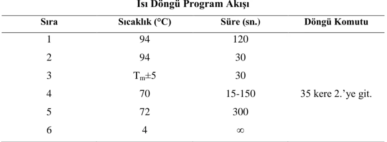 Çizelge 3.1. PZR ısı döngü programı için süre ve sıcaklık koşulları  Isı Döngü Program Akışı 