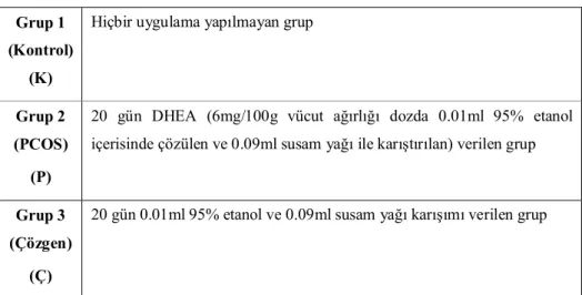 Çizelge 3.1.1.Deney modelinin oluşturulması. 
