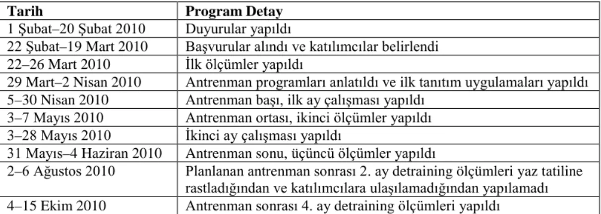 Çizelge 3.1.  Proje programı. 