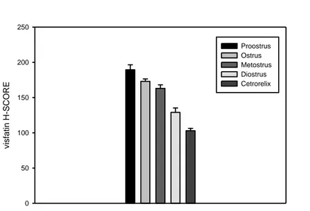Şekil 4.1.2. Genital sikluslara ve cetrorelix grubuna ait visfatin ekspresyonunun H Score analizi