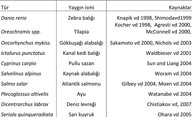 Çizelge  2.3.  Bazı  balık  türlerinde  mikrosatelit  markırlar  ile  oluşturulan  gen      bağlantı haritaları (Liu vd 2007, Aksakal 2009) 