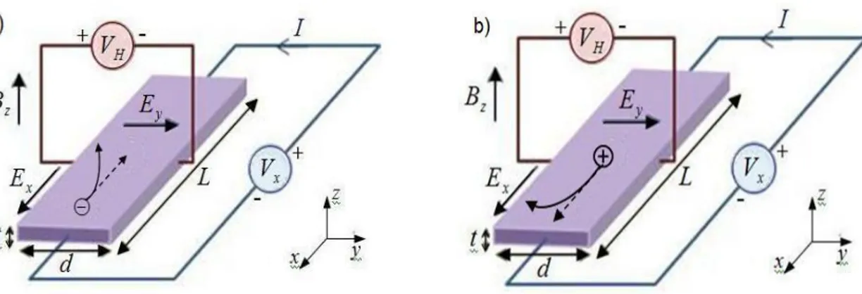 Şekil 2.1. Hall olayı deney düzeneği. a) Elektronlar için b) Deşikler için 