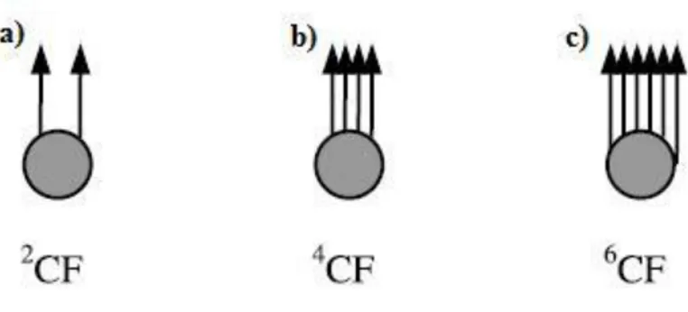 Şekil 2.12. a) iki, b) dört ve c) altı vorteks taşıyan kompozit fermiyonların üç çeşidinin  şematik gösterimi (Jain 2007) 