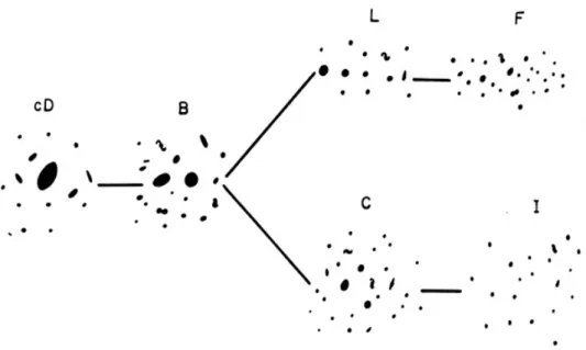Şekil 1.2. Galaksi kümelerinin Rood ve Sastry (1971) tarafından yapılan  sınıflandırılması