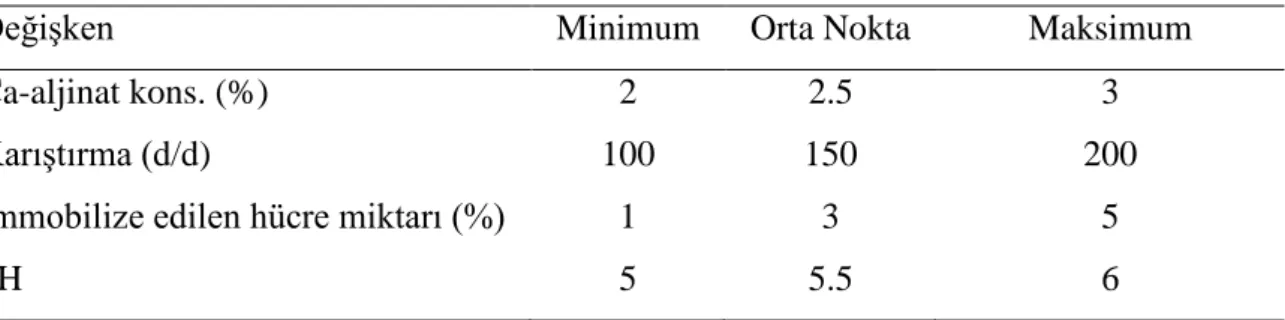 Çizelge 3.1. Fermantasyon için cevap yüzey metodunda kullanılacak parametreler 