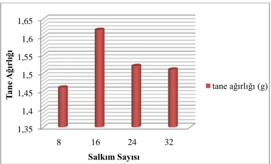 Şekil 4.6. Çalışmadan elde edilen tane ağırlığına ilişkin ortalamalar