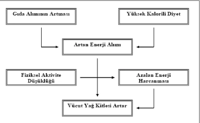 Şekil 2. 1. Primer olarak kilo almaya neden olan kısır döngüler 