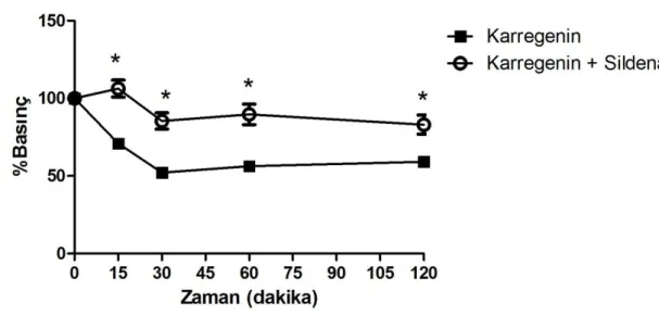 Şekil  4.2.  Karragenin‟in  oluşturduğu  hiperaljeziye  sildenafil  (200  µg/i.pl)‟in  antinosiseptif  etkisi