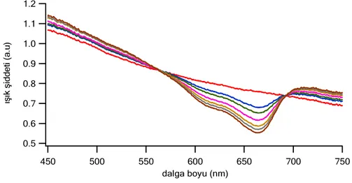 Şekil 3. 6. µ s =1.1 mm -1  olan intralipid-metilen mavisi fantomunun 450-750 nm aralığına normalize          edilen yansıma spektrumu