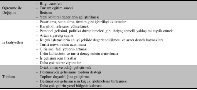 Tablo 1.1 Ekonomik Bakımdan Kazançlı Turizm Destinasyonları Yaratmada  Uluslararası Turizm Ağlarının Yararları 